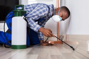 Termite Pest Control Services