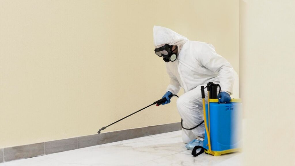 When to Call a Professional Pest Control Service